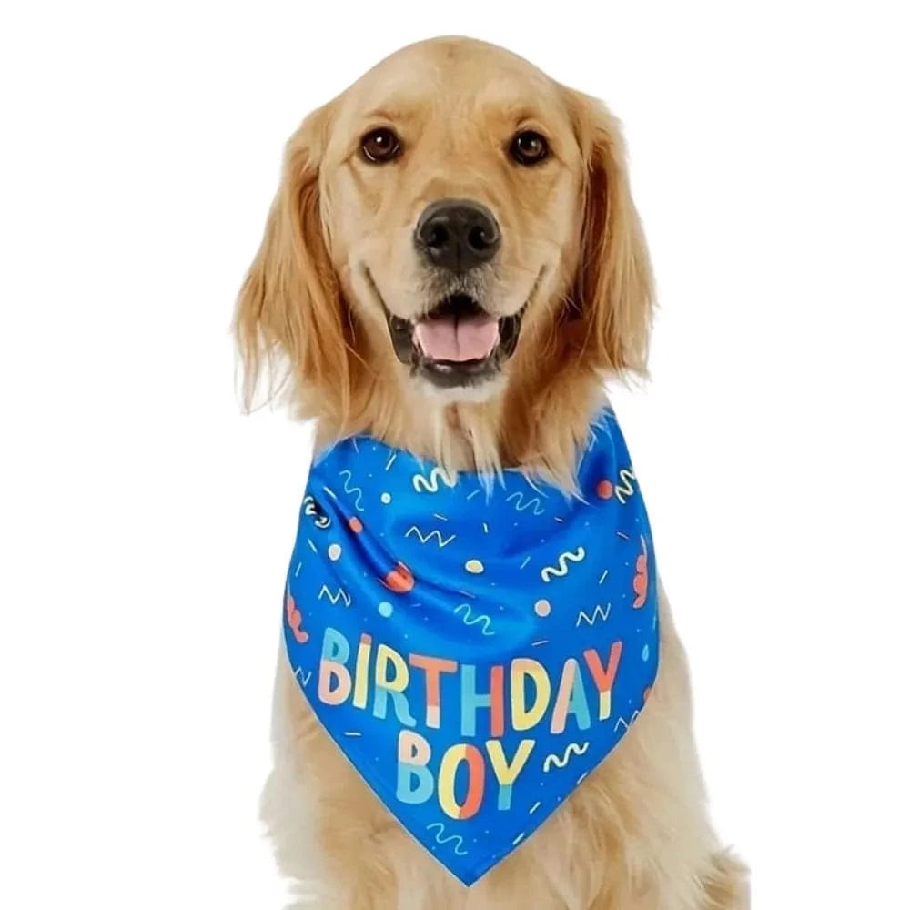 Bandana Birthday Boy Bleu
