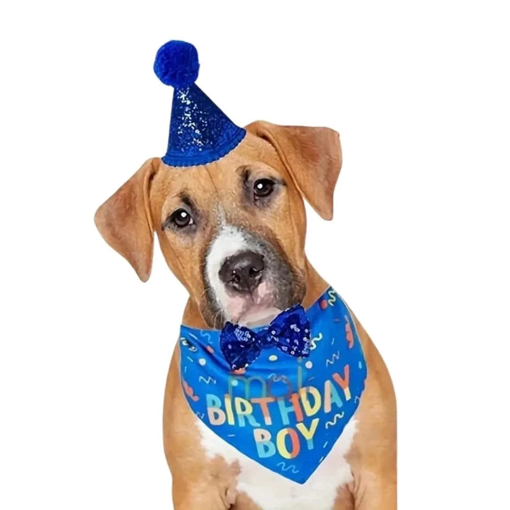Bandana Birthday Boy Bleu