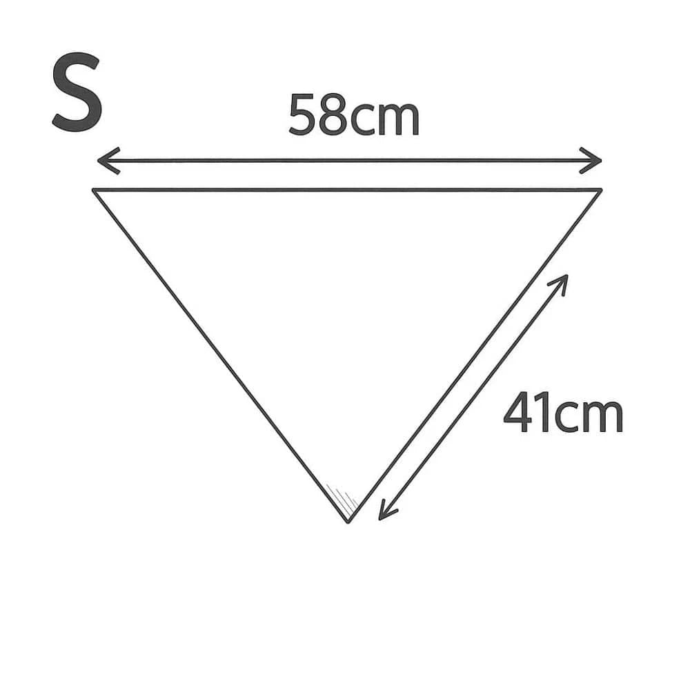 Bandana Coin-Coin Style
