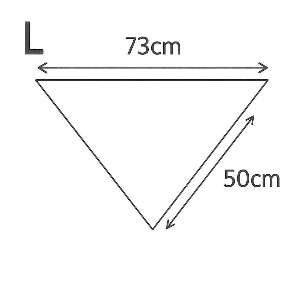 Bandana Coin-Coin Style