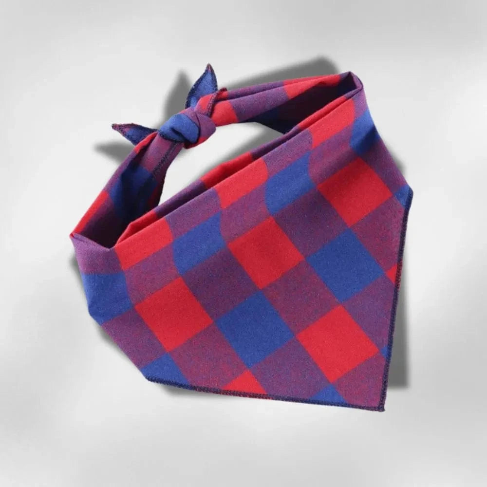 Bandana Plaidou