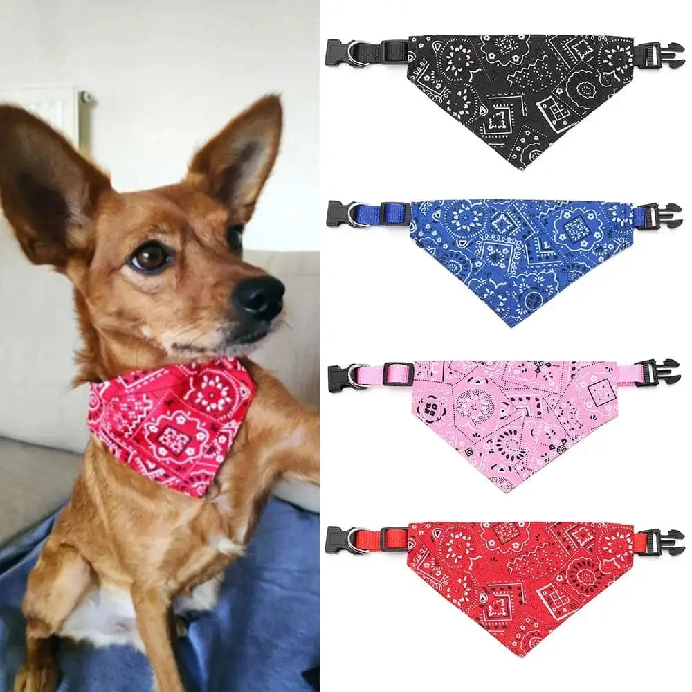 Bandana Woufiband