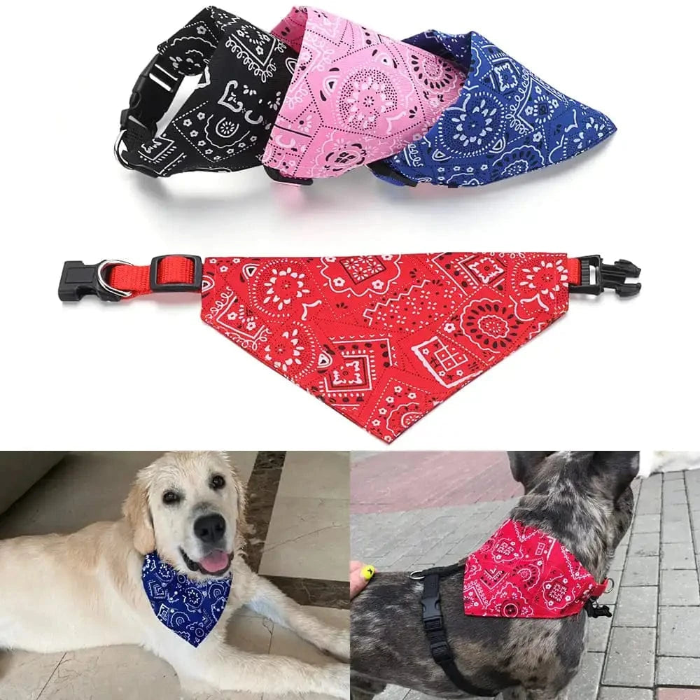 Bandana Woufiband