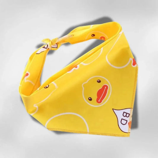 Bandana Coin-Coin Style