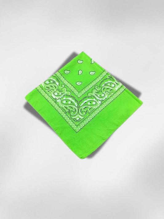 Bandana Paisley Vert 55x55 cm