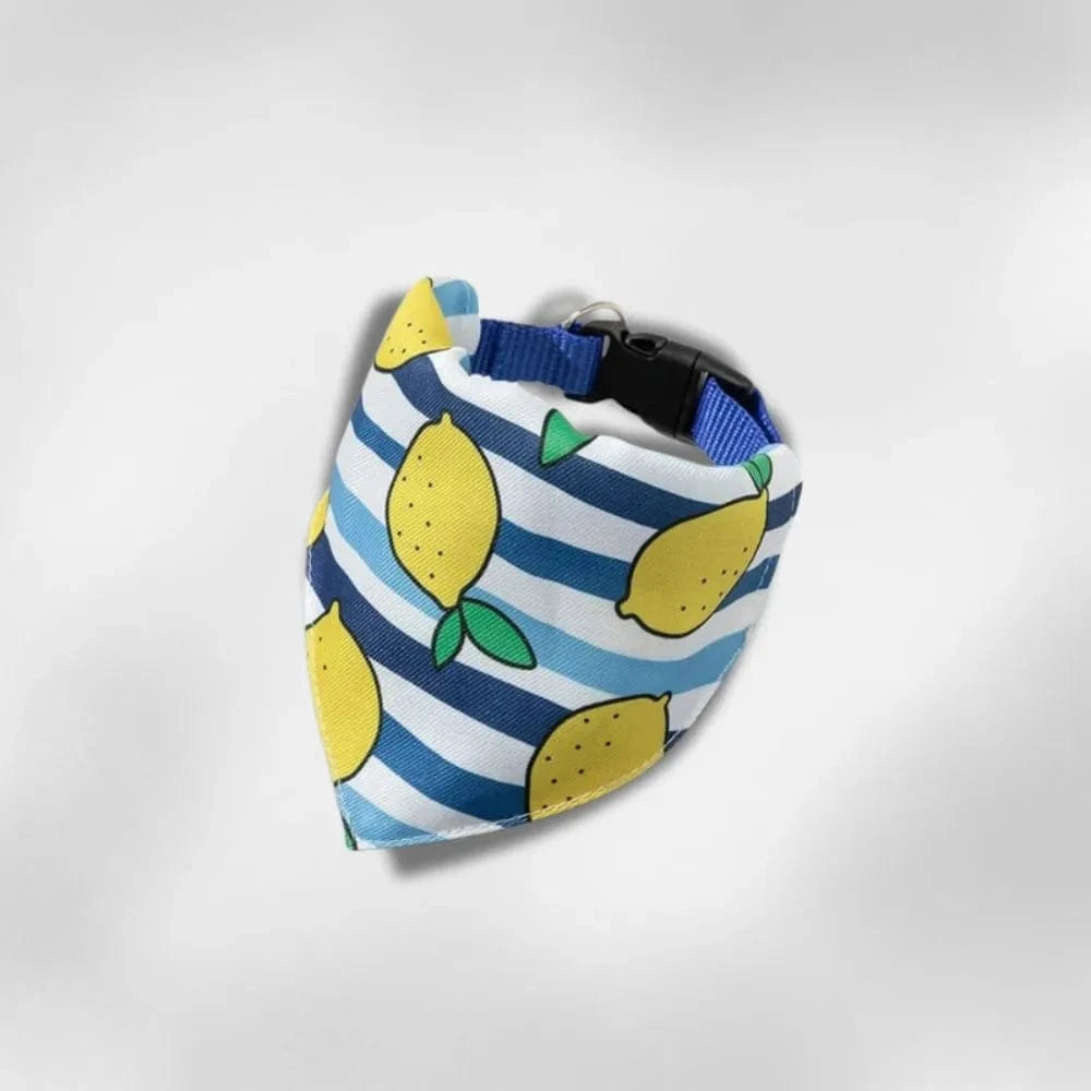 Bandana Zeste Marin